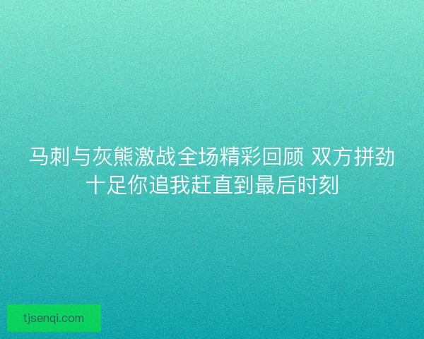 马刺与灰熊激战全场精彩回顾 双方拼劲十足你追我赶直到最后时刻